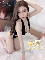 台北定點茶-夏慕