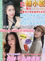 台北定點茶-糖小夏