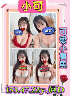 新北定點茶-小可