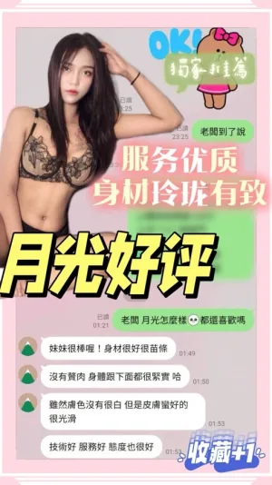 台南定點茶-月光